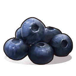 Blueberries